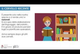 Embedded thumbnail for Neuromarketing: suggerimenti per attirare l'attenzione sul vostro sito  > paragrafi > Video