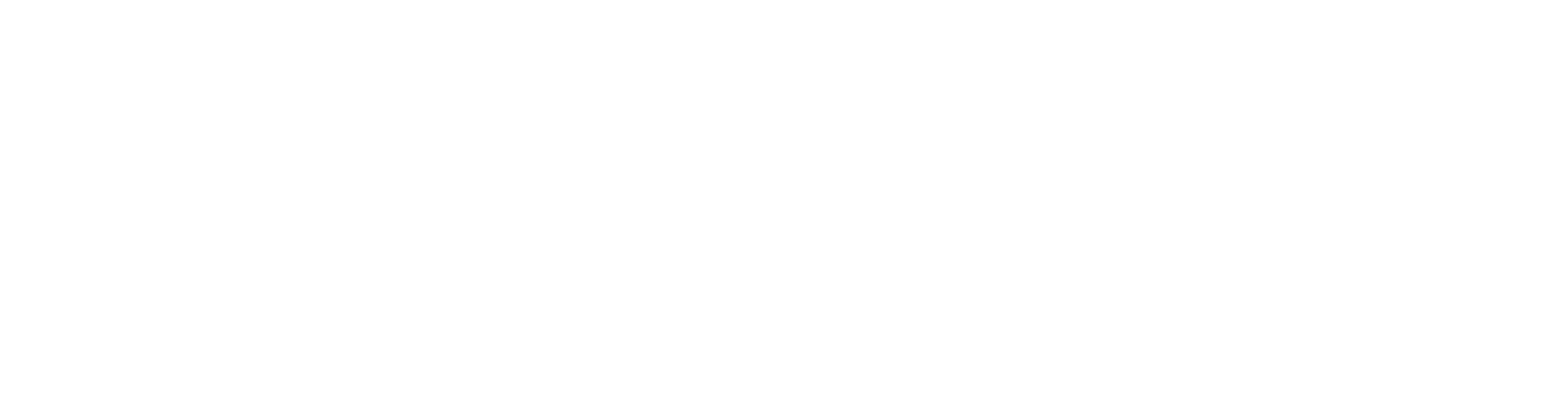 Logo SICamera